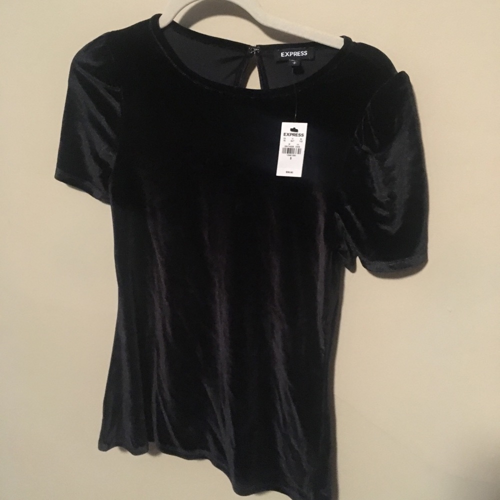 Express velvet puff sleeve top